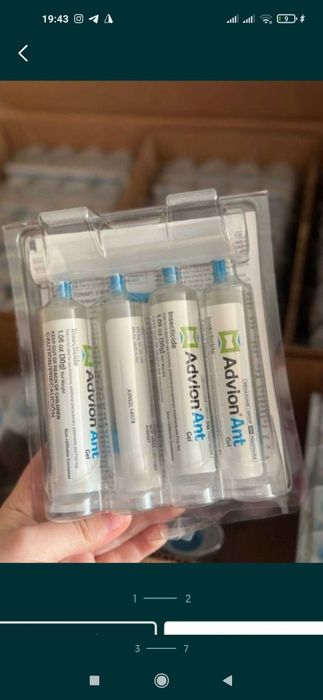 Tarakan dori, Таракан дори