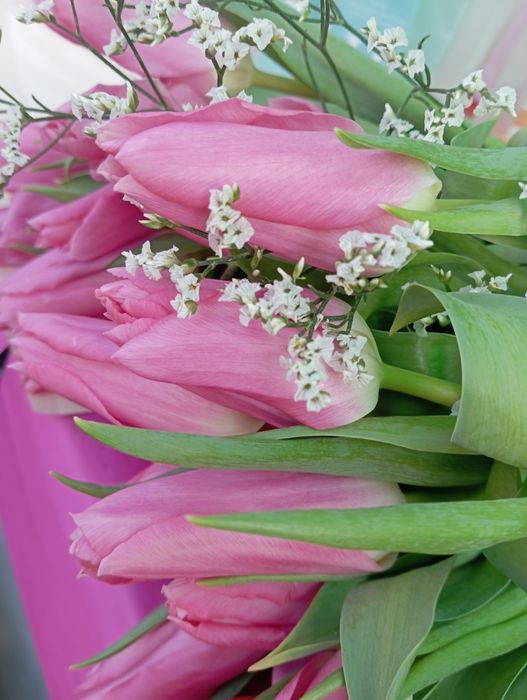 Тюльпаны в розницу