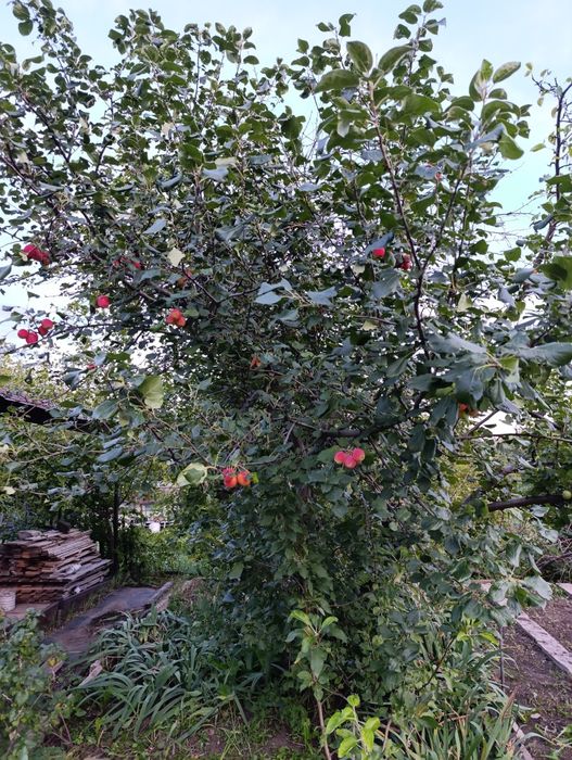 Продаётся дача на федоровке