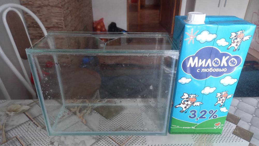 Рыбки аквариумные