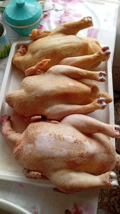 Продам мясо бройлеров