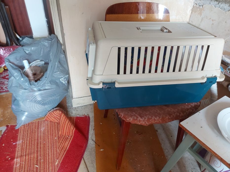 Cusca transport animale companie -150 lei