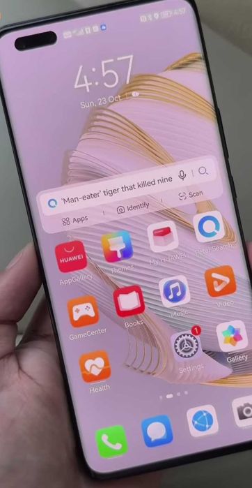 Huawe  nova 10 pro