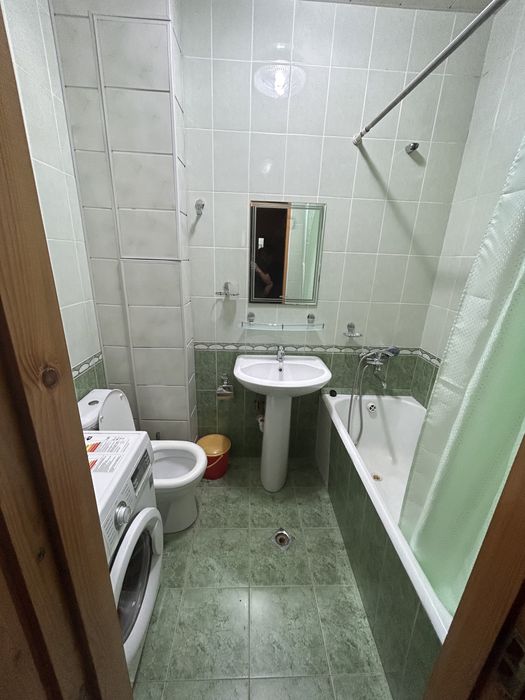 Аренда Кора камиш 1/2 Сой бойи