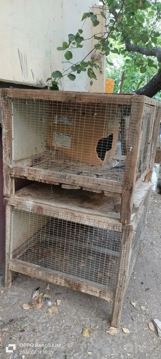 Кафаслар сотилади