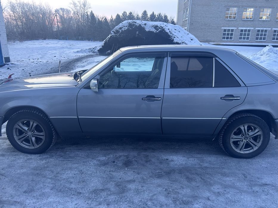 Продам живого мерса