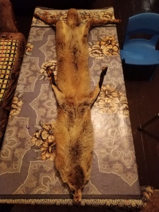 Кожена яка от лисица