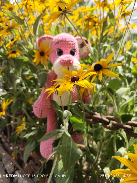 Пинко розовата пантера