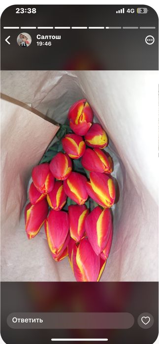 Тюлпан супер сорт