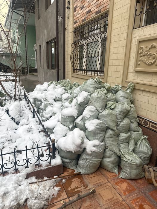 Turpoq 250 qop yaxshi