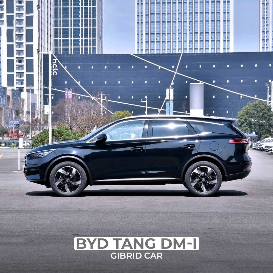 Byd tang 2023. BYD chempion. BYD Champion. BYD chempion Shift. BYD Song Champion.