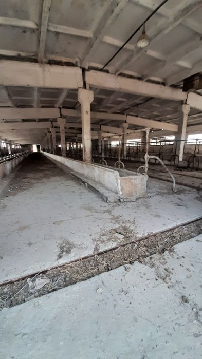 Срочно продаётся 4.5-гектар Туйтепа готовий бизнес