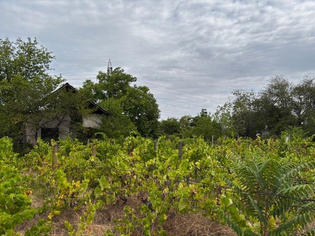 Продава се Къща в Силистра, Римска гробница - 70 кв.м за 183 €/кв.м - Снимка #2