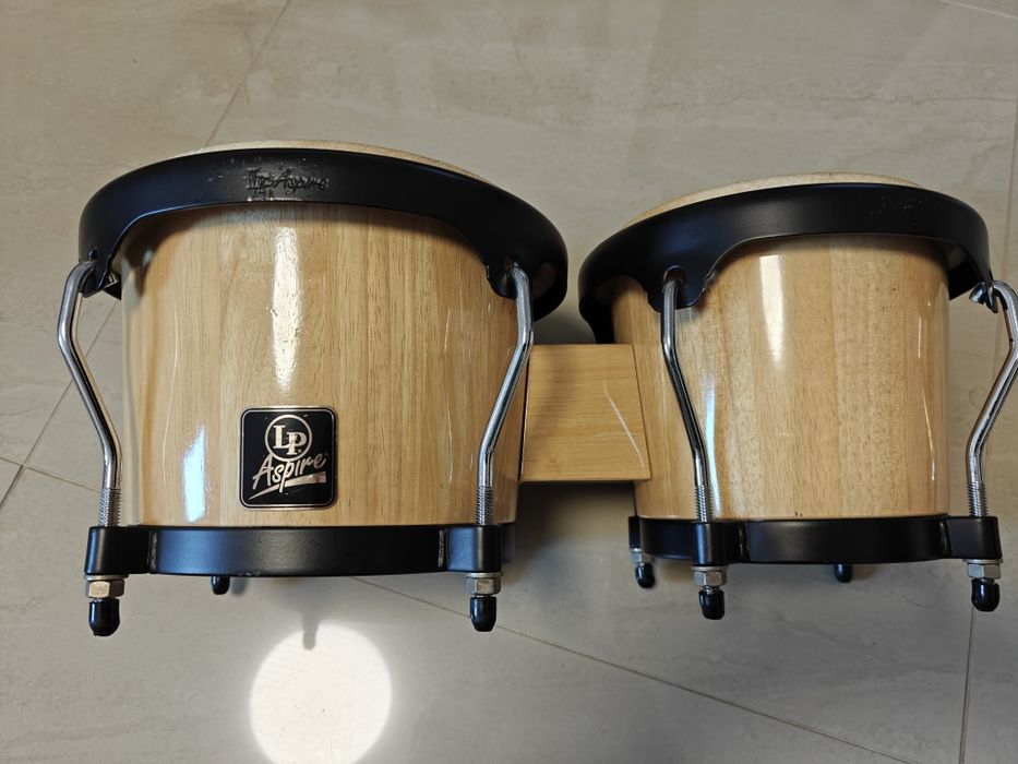 Tobe bongo Latin Percussion