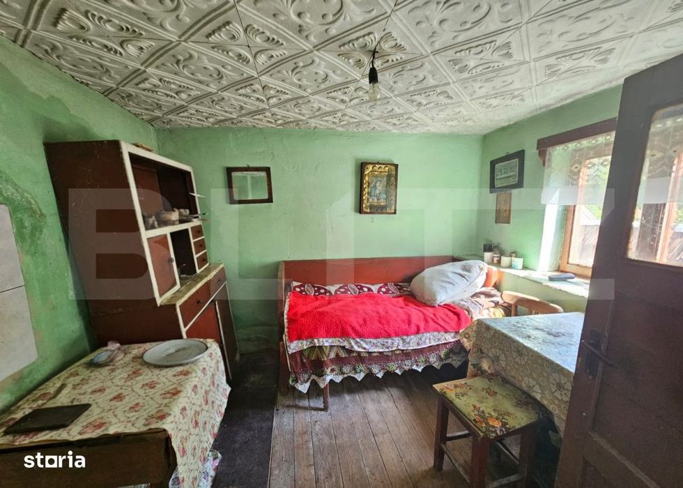 Casa traditionala - o investitie cu potential de dezvoltare, Capalna,