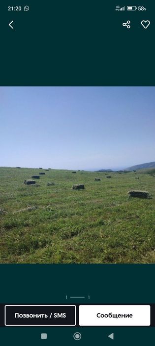 Продам сено разнотраве по 500тенге