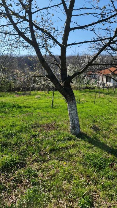 Продава се Парцел в Велико Търново, Бузлуджа - 1290 кв.м за 28 €/кв.м - Снимка #2