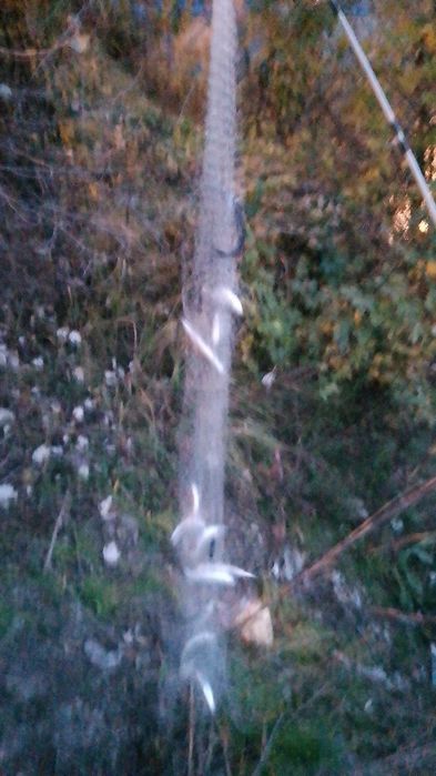 Plase parasute de pescuit