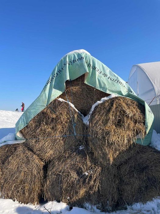 Vand baloti de paie si fan