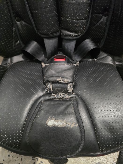 Столче за кола Phil&Teds - Columbus V2, с Isofix, 9-36 kg