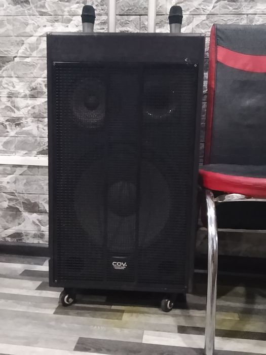 Колонка Cov xiowei audio professional