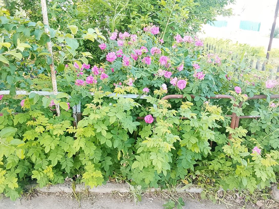 Продается дом частный