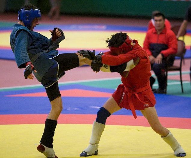 Боевое самбо для детей