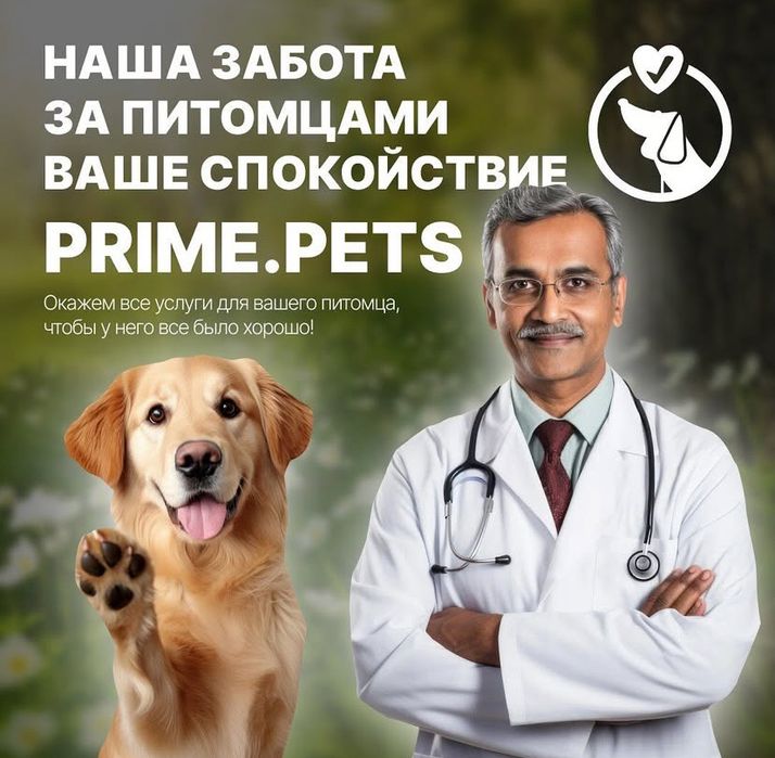 Веб-дизайнер | Тильда | Сайты | Баннеры