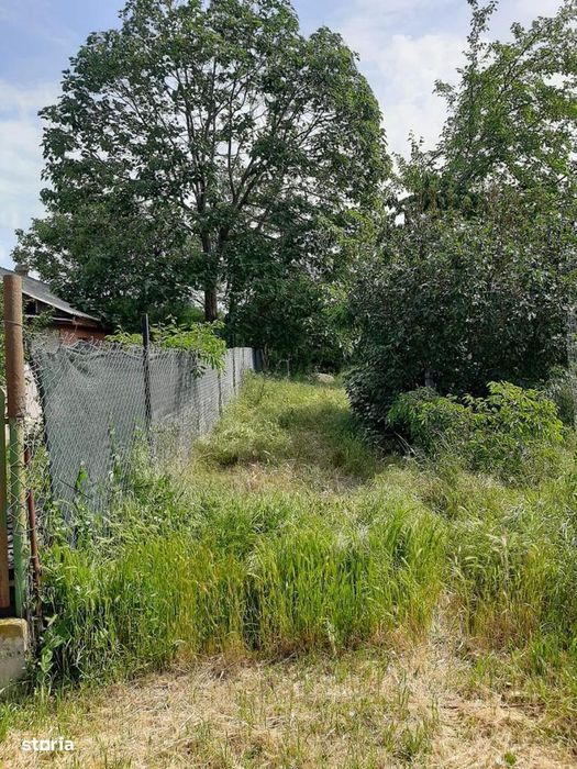 Snagov-Ghermanesti-Teren 2000 mp la sosea - 55 euro/mp