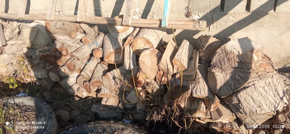 Shohlar bor sotiladi