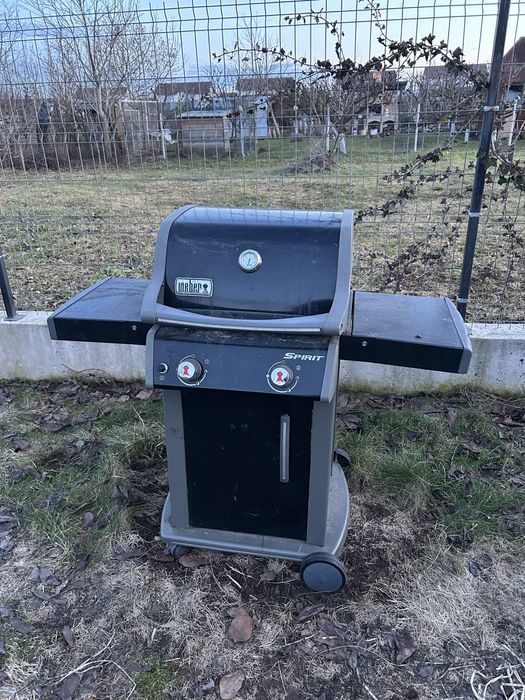 Vand Grill Weber pe Gaz