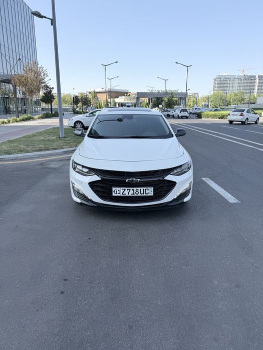 Malibu XL oq Tozza