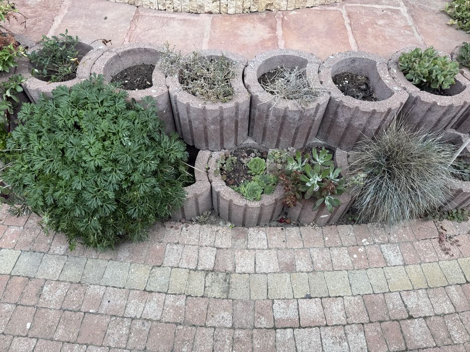 Vand jardinere din beton rosu
