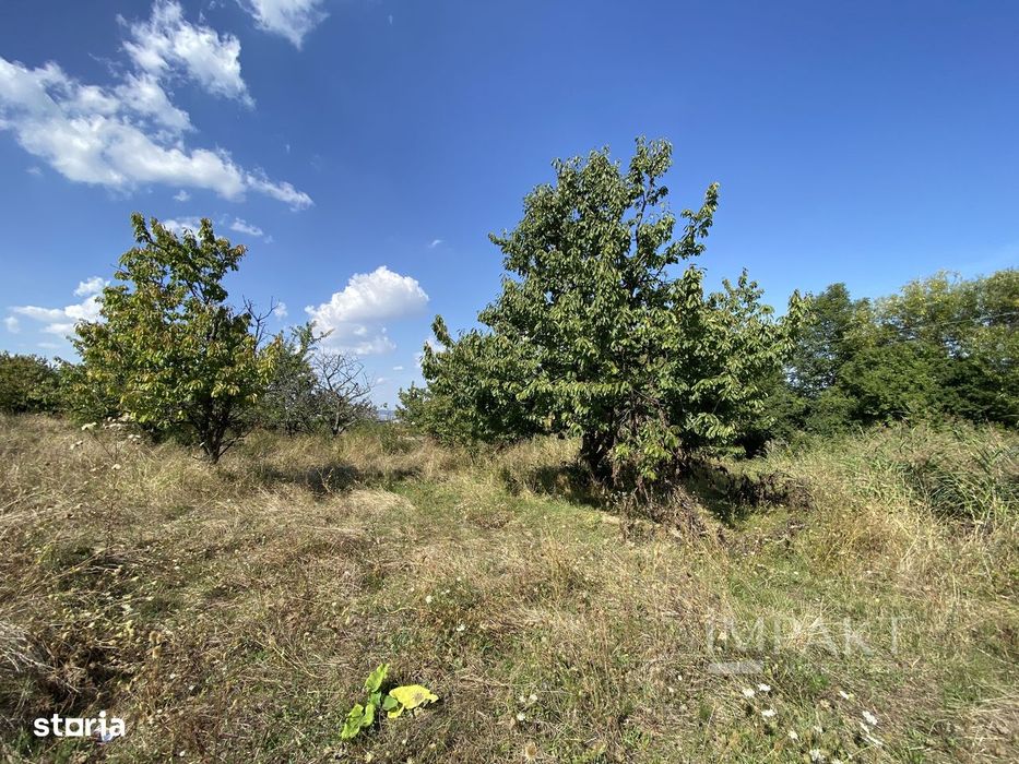 Teren 802 m2 Faget cu PUZ aprobat