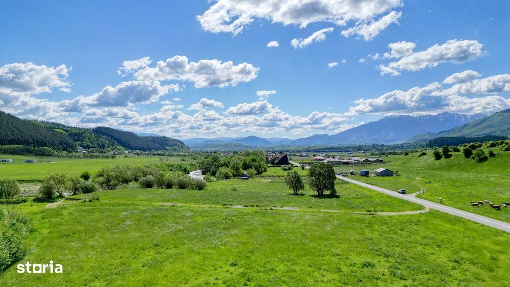 Teren intravilan In Zarnesti zona Plaiul Foii, asfalt si priveliste