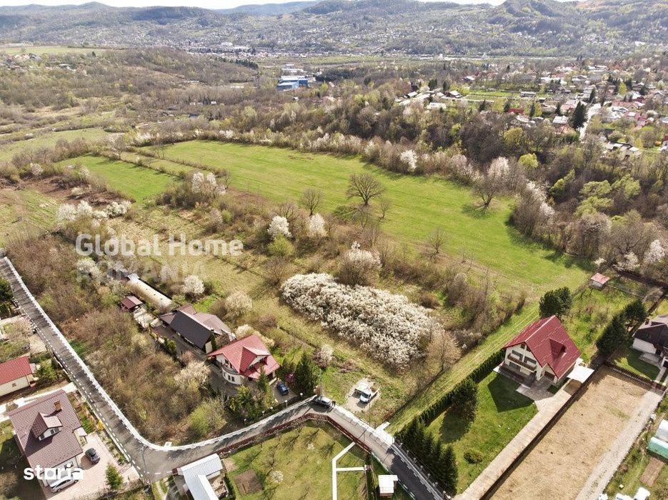 Mountain Plateau - 23.345 SQM - Exclusive Estate | Jud Prahova - Valea
