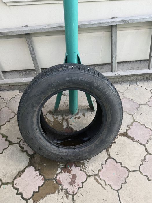 зимние шины Triangle