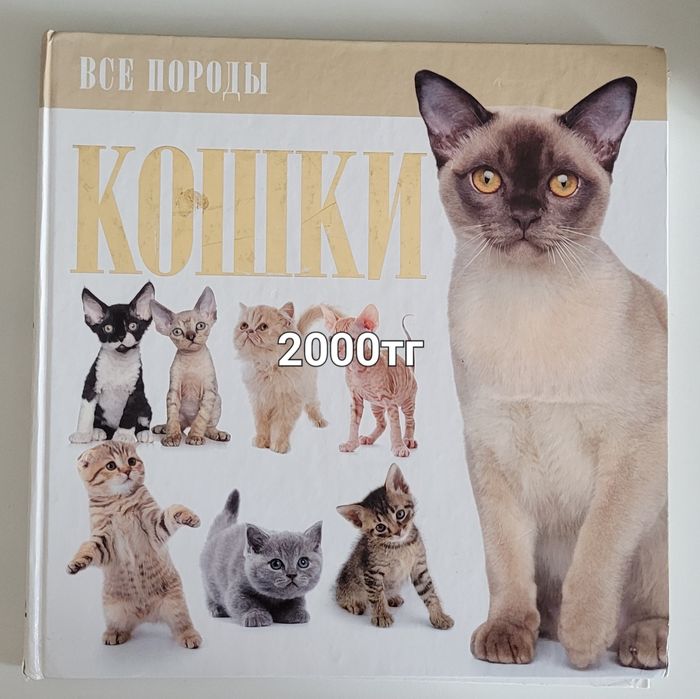 Манга Блюлок, итд