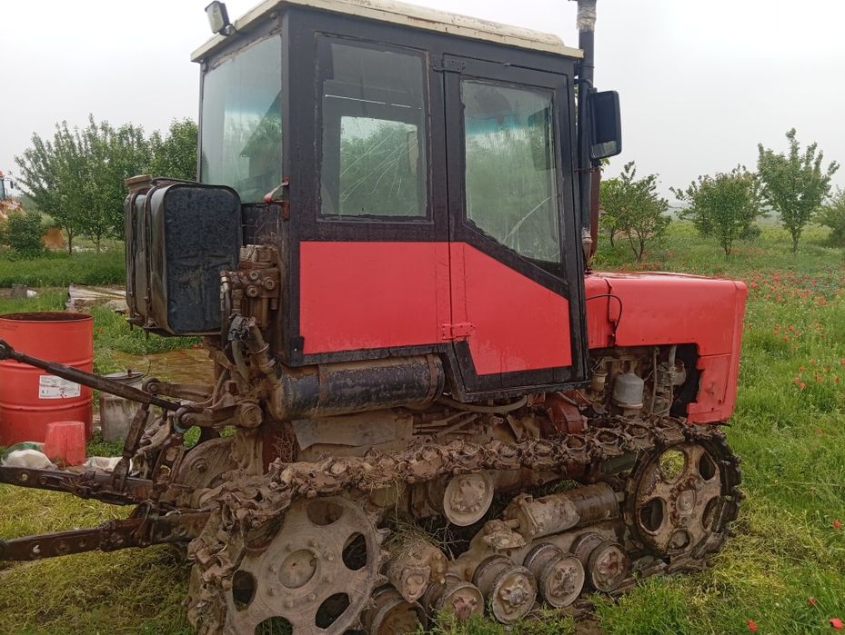 T 70 soz holatda (balgar)