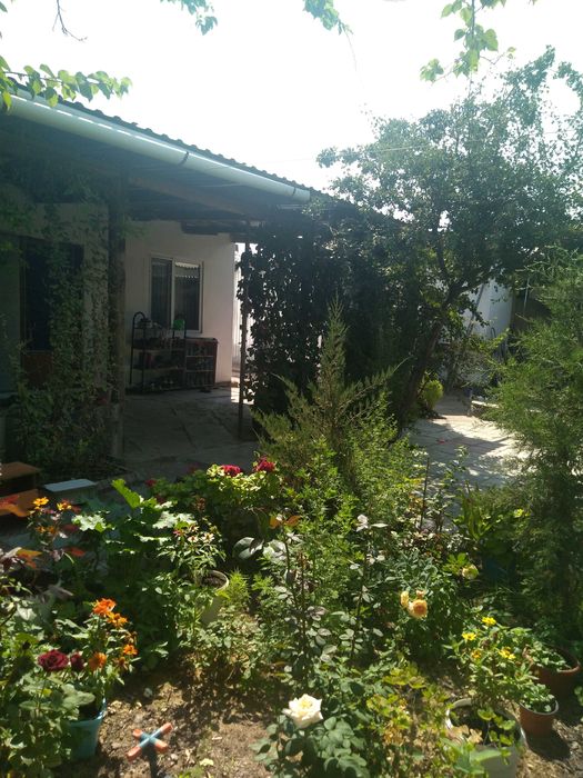 Продаётся дом в п. Талсуат