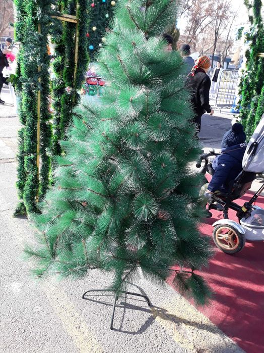 Продаётся ёлка в Чирчике