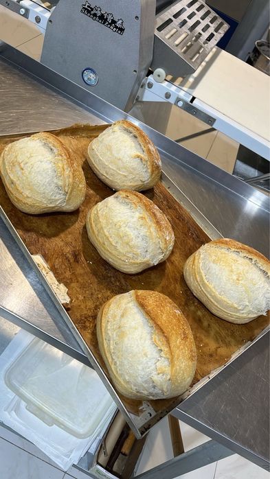 свежие,вкусные булочки для сендвичей
