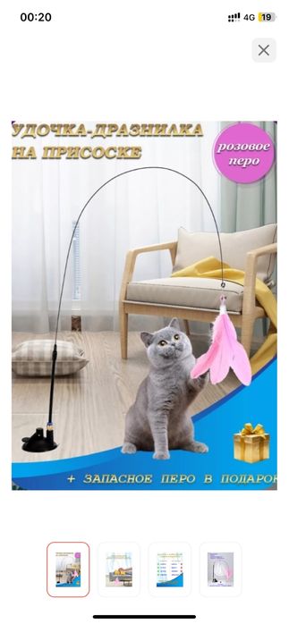 Кошка маленькая.