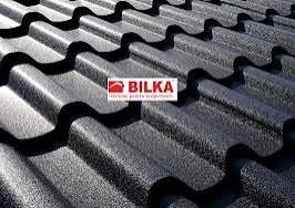 Acoperisuri si Reparatii – de la A la Z

Echipa specializata in domeni