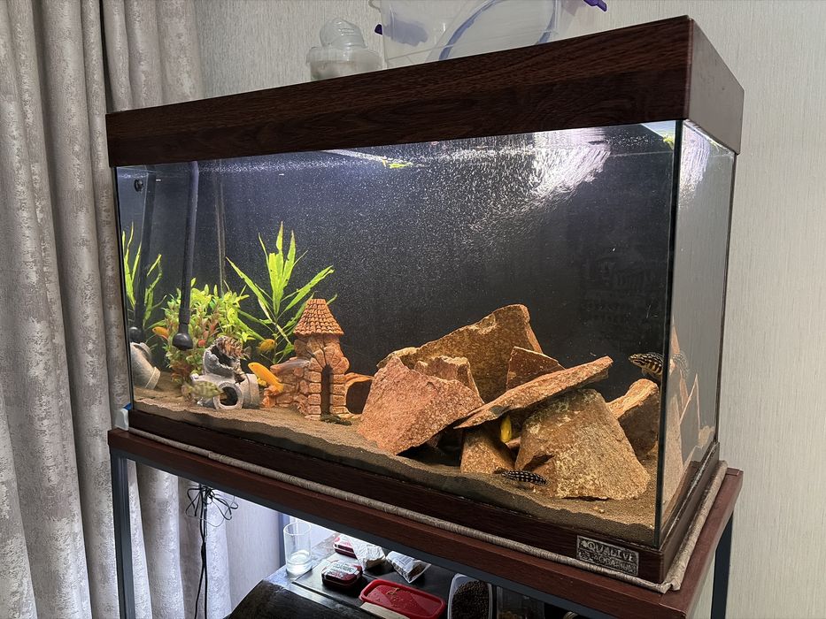 Продам два аквариума со стойкой