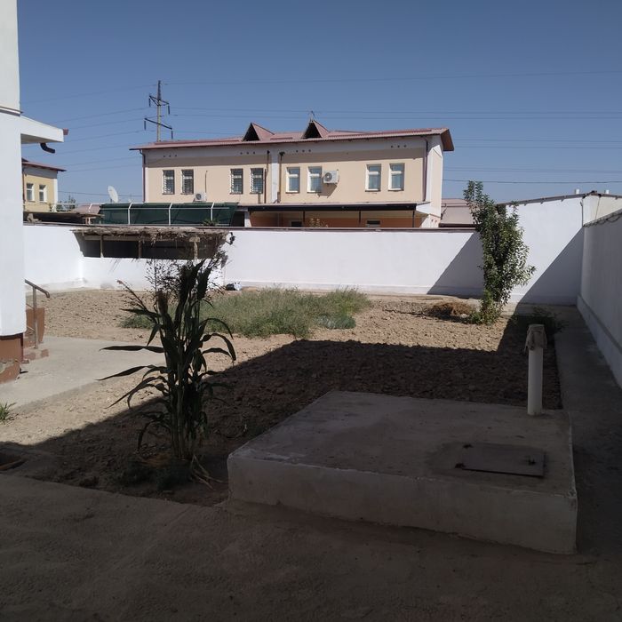 Катеж янги батош