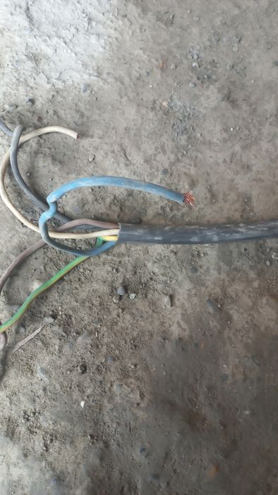 Kabil 6 lik minoga jirni