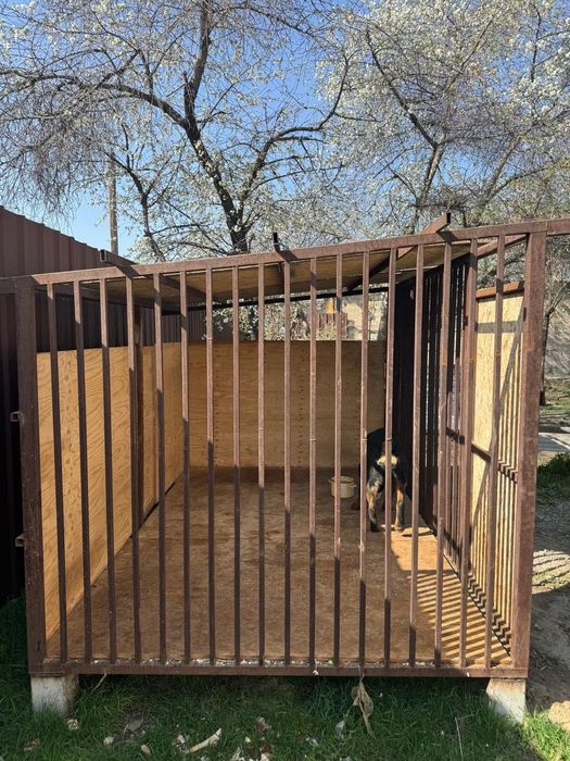 Продам ротвейлера с вольером