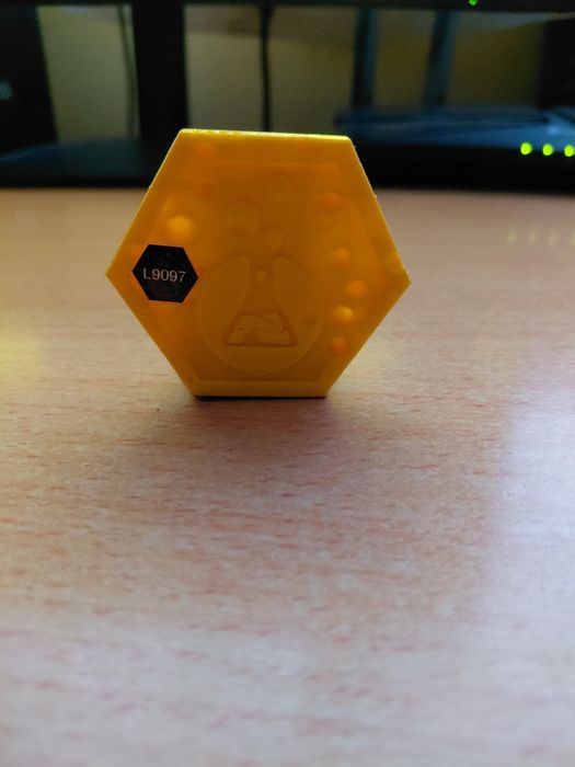 Lab-coin SpongeBob Freddy