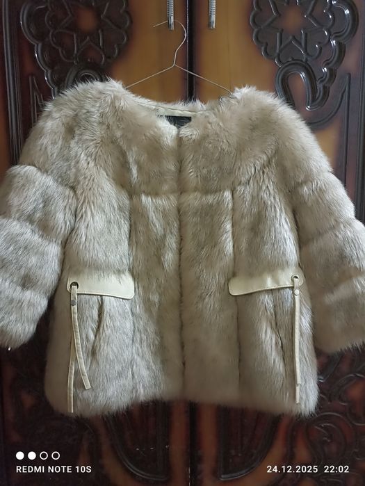 Панчо сотилади pancho sotiladi